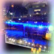 ヒメ日記 2024/12/22 16:56 投稿 鮎川ゆり 五十路マダム　和歌山店