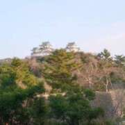 ヒメ日記 2025/01/24 19:32 投稿 鮎川ゆり 五十路マダム　和歌山店