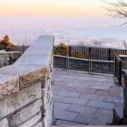 ヒメ日記 2025/03/19 14:42 投稿 鮎川ゆり 五十路マダム　和歌山店