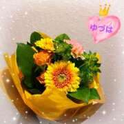 ヒメ日記 2025/02/28 22:28 投稿 ゆづは Love Fantasy（ラブファンタジー）