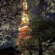 ヒメ日記 2024/12/30 04:43 投稿 花園てまり THE痴漢電車.com