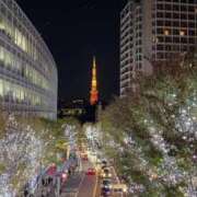 ヒメ日記 2025/01/17 04:13 投稿 花園てまり THE痴漢電車.com