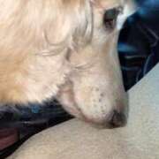 ヒメ日記 2025/01/12 16:22 投稿 姫野てまり 全裸美女からのカゲキな誘惑