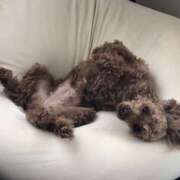 ヒメ日記 2025/01/20 12:35 投稿 あいり もんぜつちじょ本店