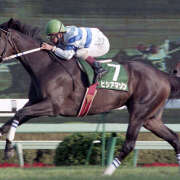 ヒメ日記 2024/12/22 23:38 投稿 古田 誘惑マル秘ミセス