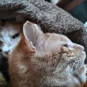 ヒメ日記 2024/12/31 08:32 投稿 古田 誘惑マル秘ミセス