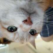 ヒメ日記 2025/02/02 09:27 投稿 古田 誘惑マル秘ミセス