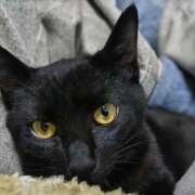 ヒメ日記 2025/02/16 07:19 投稿 古田 誘惑マル秘ミセス