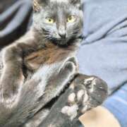 ヒメ日記 2025/03/09 06:11 投稿 古田 誘惑マル秘ミセス