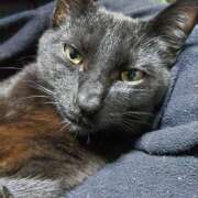 ヒメ日記 2025/03/11 16:29 投稿 古田 誘惑マル秘ミセス