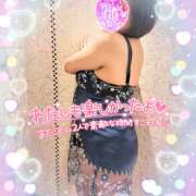 ヒメ日記 2025/04/12 18:29 投稿 古田 誘惑マル秘ミセス