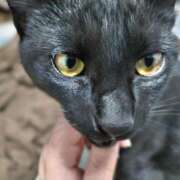 ヒメ日記 2025/04/15 20:02 投稿 古田 誘惑マル秘ミセス