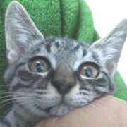 ヒメ日記 2025/04/22 18:24 投稿 古田 誘惑マル秘ミセス