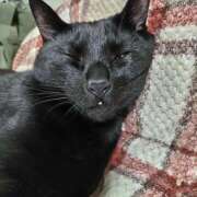 ヒメ日記 2025/06/11 17:03 投稿 古田 誘惑マル秘ミセス