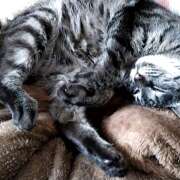 ヒメ日記 2025/06/12 12:52 投稿 古田 誘惑マル秘ミセス