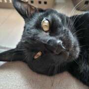 ヒメ日記 2025/06/25 12:13 投稿 古田 誘惑マル秘ミセス