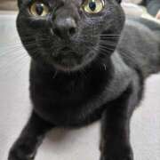 ヒメ日記 2025/07/02 12:41 投稿 古田 誘惑マル秘ミセス