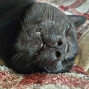 ヒメ日記 2025/07/08 18:32 投稿 古田 誘惑マル秘ミセス