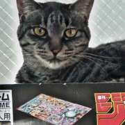 ヒメ日記 2025/07/11 12:54 投稿 古田 誘惑マル秘ミセス