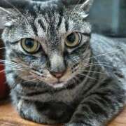 ヒメ日記 2025/07/27 17:21 投稿 古田 誘惑マル秘ミセス