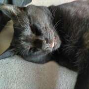 ヒメ日記 2025/07/28 18:30 投稿 古田 誘惑マル秘ミセス