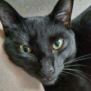 ヒメ日記 2025/07/30 18:34 投稿 古田 誘惑マル秘ミセス