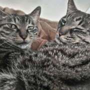 ヒメ日記 2025/08/13 05:54 投稿 古田 誘惑マル秘ミセス