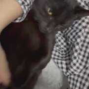 ヒメ日記 2025/09/25 20:10 投稿 古田 誘惑マル秘ミセス