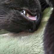 ヒメ日記 2025/09/28 08:51 投稿 古田 誘惑マル秘ミセス