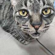 ヒメ日記 2025/09/28 19:49 投稿 古田 誘惑マル秘ミセス