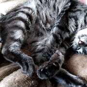 ヒメ日記 2025/09/29 23:02 投稿 古田 誘惑マル秘ミセス