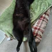 ヒメ日記 2025/10/18 09:39 投稿 古田 誘惑マル秘ミセス