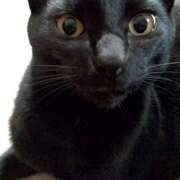 ヒメ日記 2025/10/27 13:03 投稿 古田 誘惑マル秘ミセス