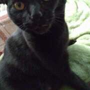 ヒメ日記 2025/11/15 09:36 投稿 古田 誘惑マル秘ミセス