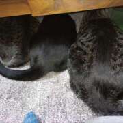 ヒメ日記 2025/12/29 15:38 投稿 古田 誘惑マル秘ミセス