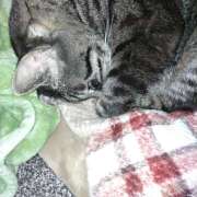 ヒメ日記 2026/01/16 10:58 投稿 古田 誘惑マル秘ミセス