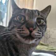 ヒメ日記 2026/02/22 09:55 投稿 古田 誘惑マル秘ミセス