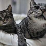 ヒメ日記 2026/03/24 06:56 投稿 古田 誘惑マル秘ミセス