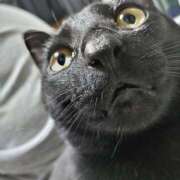 ヒメ日記 2026/04/04 23:23 投稿 古田 誘惑マル秘ミセス