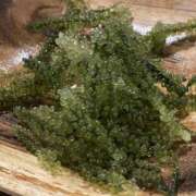 ヒメ日記 2025/05/21 19:44 投稿 増永きほ 禁断のメンズエステR-18堺・南大阪店