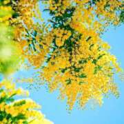 ヒメ日記 2025/06/13 09:44 投稿 増永きほ 禁断のメンズエステR-18堺・南大阪店