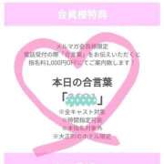 ヒメ日記 2025/02/13 16:47 投稿 江崎(えさき) 大牟田デリヘル倶楽部
