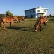 ヒメ日記 2025/10/12 14:47 投稿 江崎(えさき) 大牟田デリヘル倶楽部
