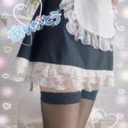 ヒメ日記 2024/12/29 01:53 投稿 芹沢(せりざわ) 大牟田デリヘル倶楽部