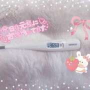 ヒメ日記 2025/02/05 18:02 投稿 芹沢(せりざわ) 大牟田デリヘル倶楽部