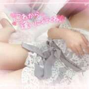 ヒメ日記 2025/04/21 19:13 投稿 芹沢(せりざわ) 大牟田デリヘル倶楽部