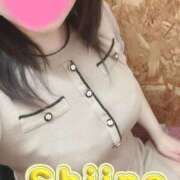 ヒメ日記 2025/03/07 16:33 投稿 椎名(しいな) 大牟田デリヘル倶楽部