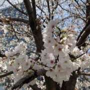 ヒメ日記 2025/04/04 20:23 投稿 椎名(しいな) 大牟田デリヘル倶楽部