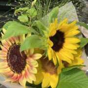 ヒメ日記 2025/07/27 11:43 投稿 椎名(しいな) 大牟田デリヘル倶楽部