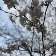 ヒメ日記 2025/04/08 09:43 投稿 和泉(いずみ) 大牟田デリヘル倶楽部